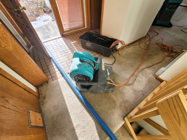 Best Water damage cleanup near me  in Wayland, MI