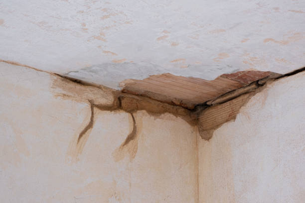  Wayland, MI Water damage restoration Pros