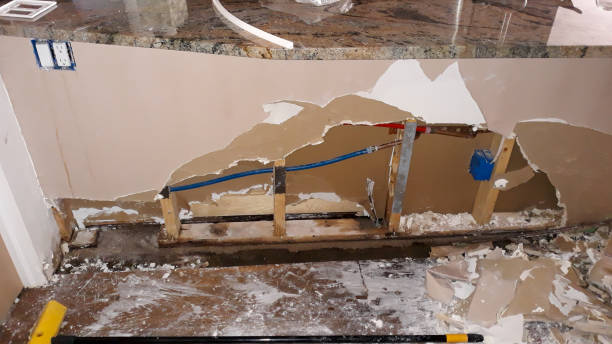 Best Ceiling water damage repair  in Wayland, MI