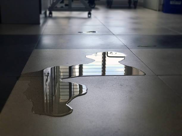 Best Emergency water damage restoration  in Wayland, MI