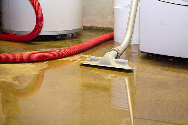 Best Professional water damage repair  in Wayland, MI