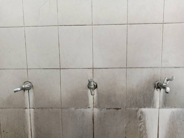 Best Ceiling water damage repair  in Wayland, MI