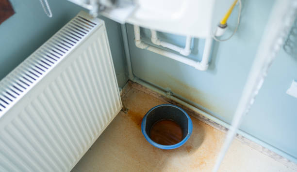 Best Flooded house restoration  in Wayland, MI