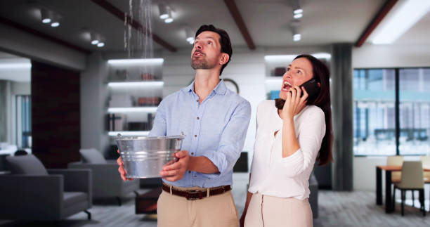 Best Flood damage cleanup  in Wayland, MI